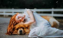 梦见被别人打头