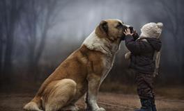 AB型血属狗人的人际关系