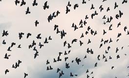 女人梦见天上掉东西