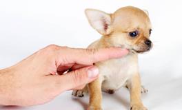 AB型血巨蟹座的人境界最高吗？