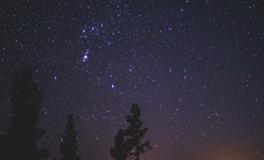 梦见家里来了好多陌生人