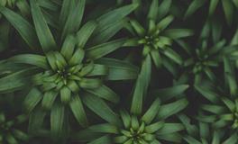 梦见拿别人的东西