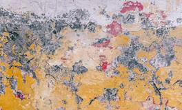 梦见很多人来我家