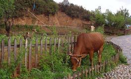 O血型君早该明白的道理