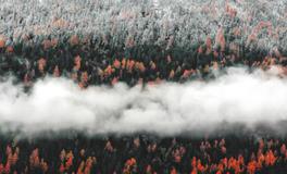 梦见和别的女人约会