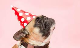 总是梦到死去的人