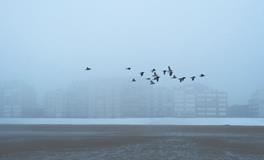 梦到自己当老板