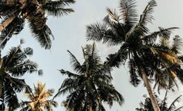 同时梦到两个死去的人