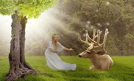 A微日记2018年8月水瓶座运势