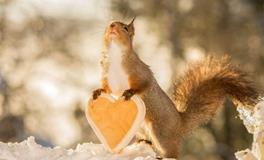 Geo老师巨蟹座一周运势（8.5-8.11）