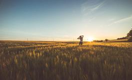 属狗人的金钱观