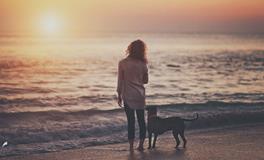 不同月份生肖狗的最佳伴侣