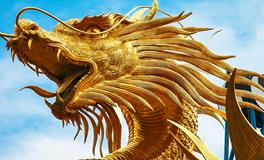 生肖龙为什么排在第五