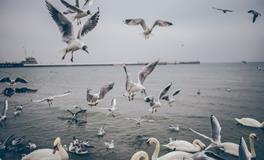 O血型一生性格变化