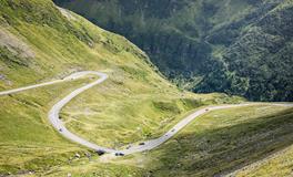 属狗人的命格与运势