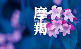 摩羯座最怕失去什么