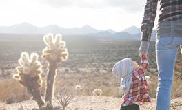 梦到老婆怀孕是什么意思