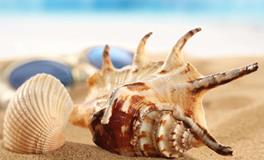 李云天一周生肖龙运势（8.13-8.19）