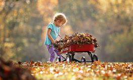 孕妇梦到别的孕妇