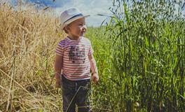 怀孕梦到四脚蛇