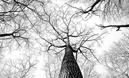 梦见自己死了预示着什么