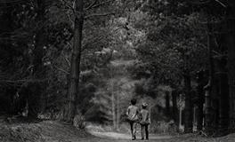 梦见喜欢的人死了