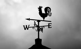 梦见死人的东西