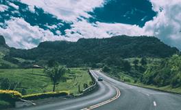 梦到小鱼是什么意思