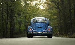 梦见头掉了什么预兆