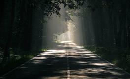 男人做梦梦到女人