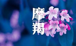 摩羯座花心吗，摩羯座花心排名