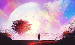 属猪的命运如何？属猪人一生的运势