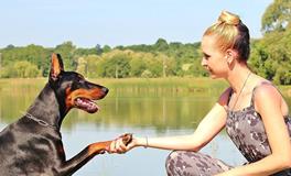 梦到小狗怀孕了