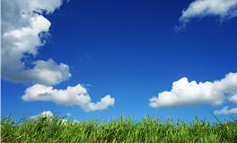 孕妇梦见大老鼠是什么意思