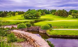 孕妇经常梦到老鼠