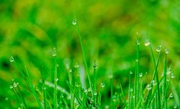 梦见棺材里躺着死人