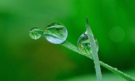 梦见红棺材预示着什么