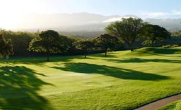 梦到白棺材什么预兆