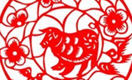 属猪双子座的O型血性格特征