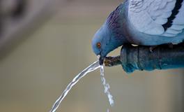 梦到脚下全是水