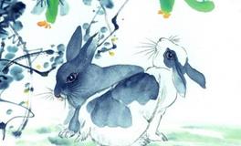 属兔2020年运势及运程 属兔人2020年全年每月运势