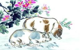 属猪2020年运势及运程 属猪人2020年全年每月运势