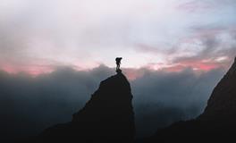 属牛处女座男生性格