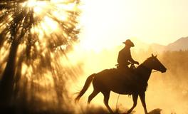 属牛水瓶座男生性格