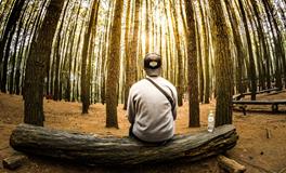 梦到自己动手打老公