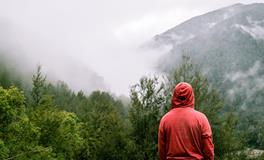 梦见和老公做爰