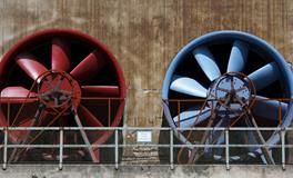 梦见小孩拉屎在我手上