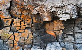 梦见儿子拉了很多大便