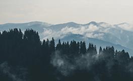 梦见踩到大便是什么意思