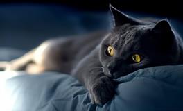 鬼压床会死人吗，鬼压床需要治疗吗